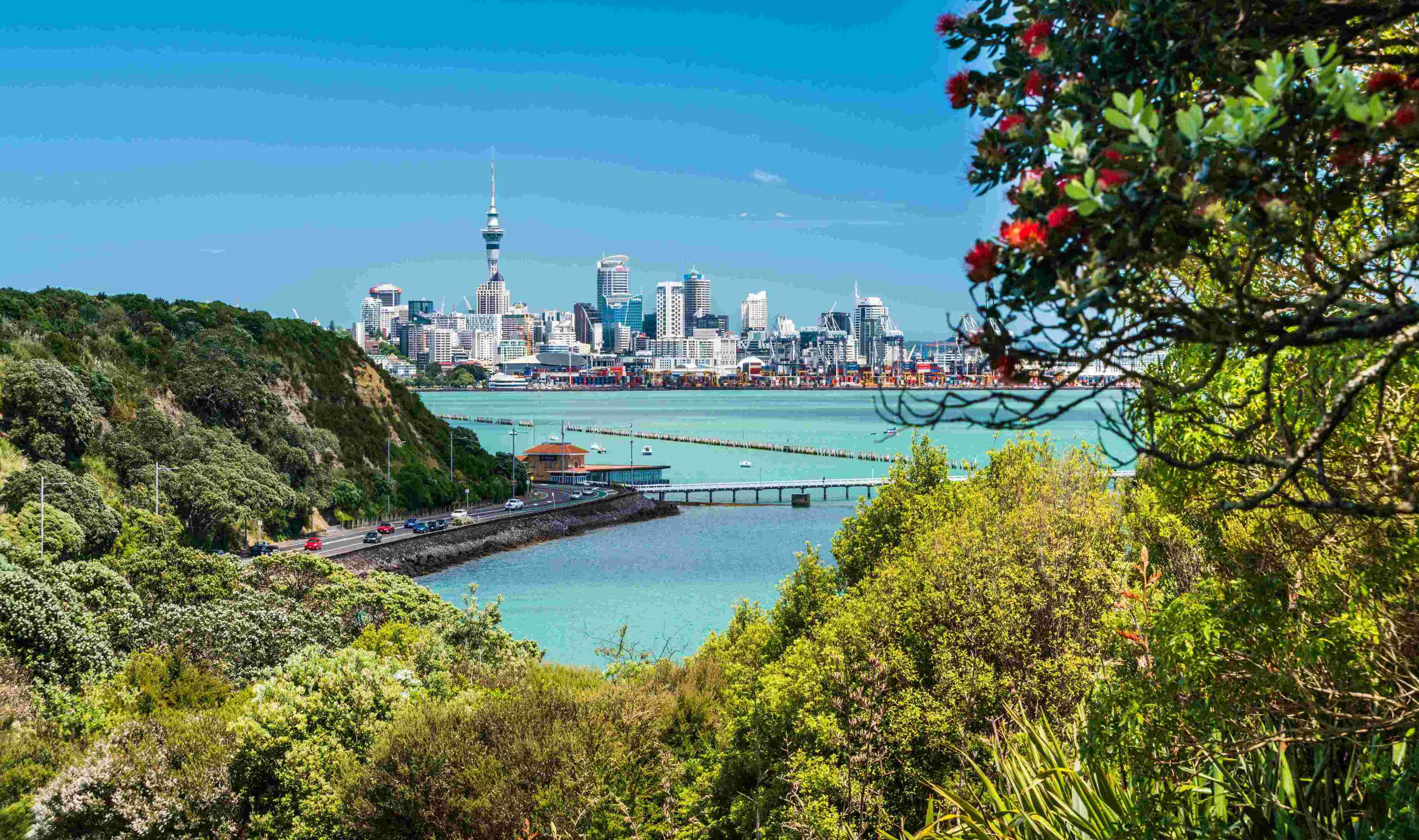 Dentist - Manukau, Auckland