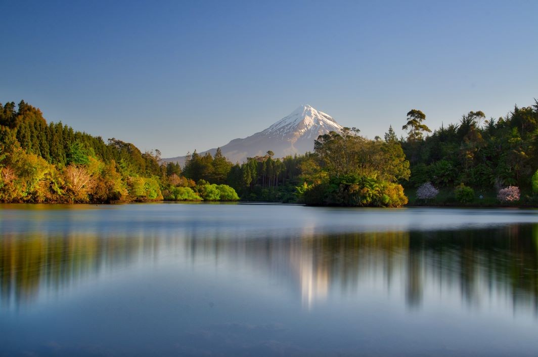 Dentist - New Plymouth