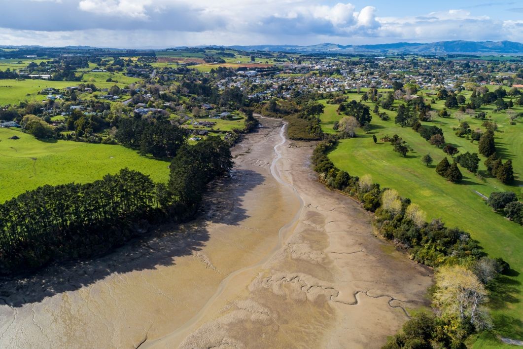 Dentist - North of Auckland